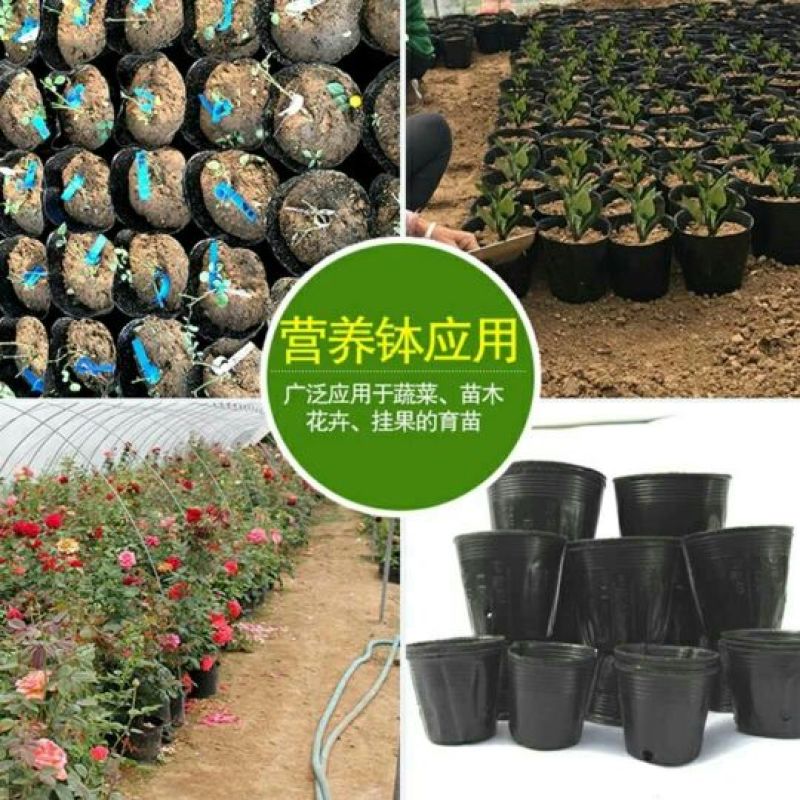 营养钵塑料育苗杯育苗钵一次性花盆育苗袋育苗杯