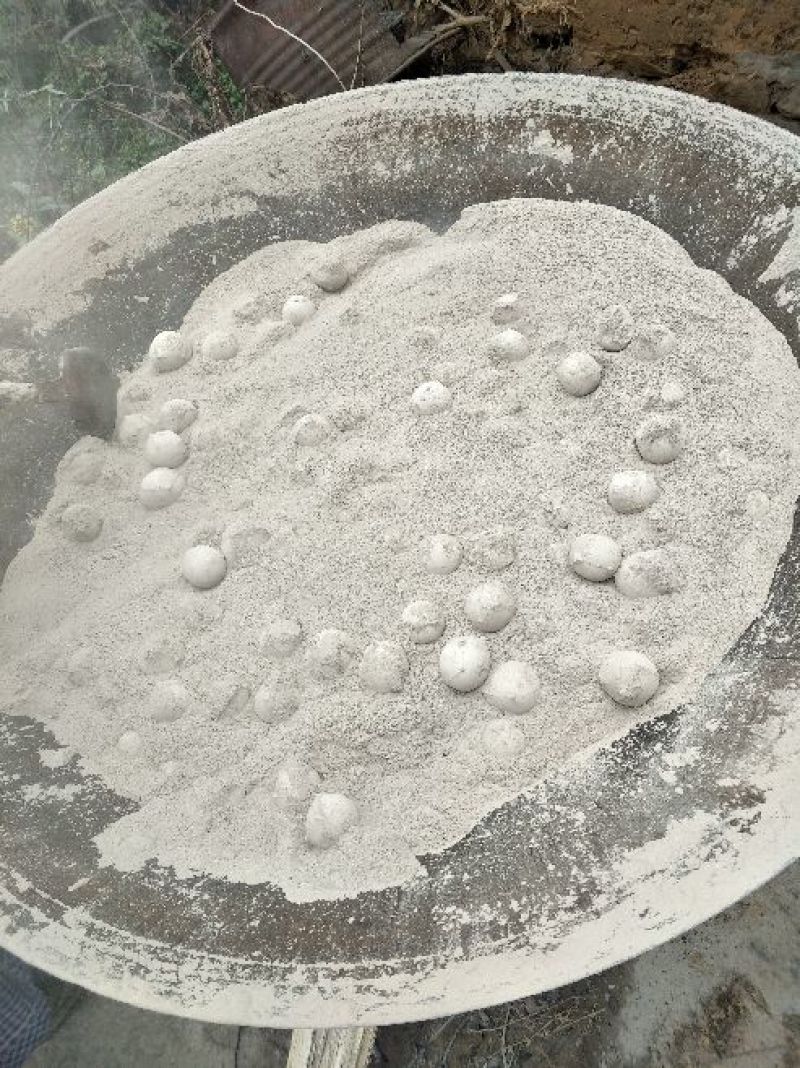 灰豆腐湿豆腐