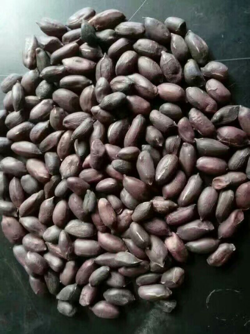 黑花生干货带壳