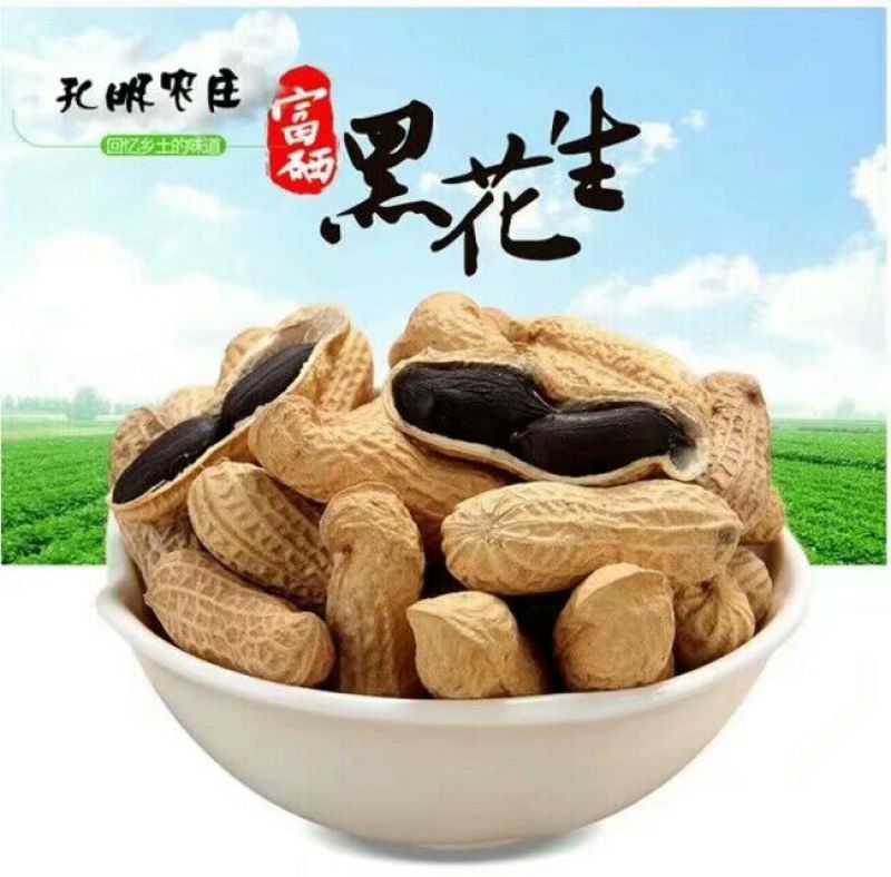黑花生干货带壳