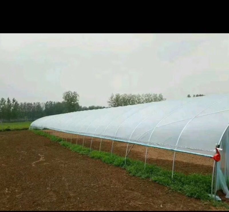 温室大棚镀锌管大棚
