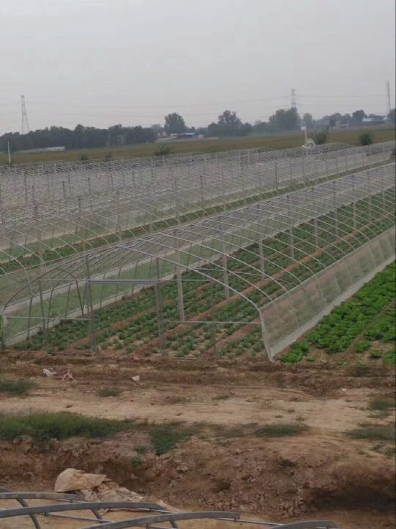 温室大棚镀锌管大棚