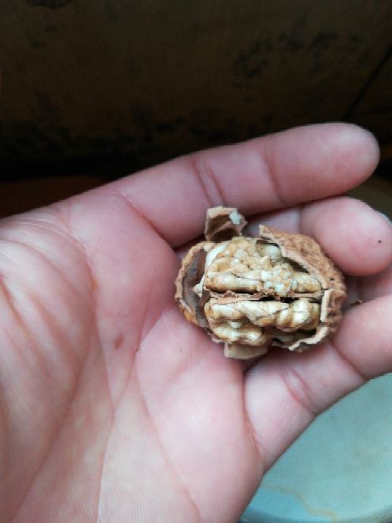 薄皮核桃去皮30mm以上干
