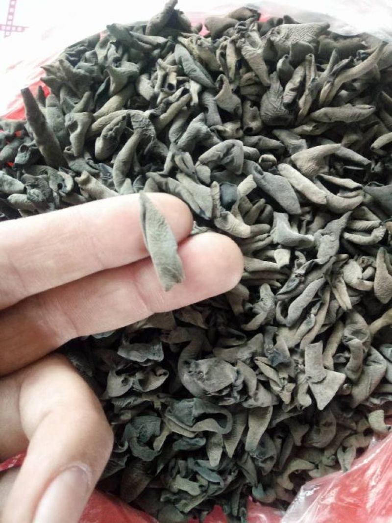 黑木耳特级柞木秋木耳一斤起卖包邮产地直供当天发货