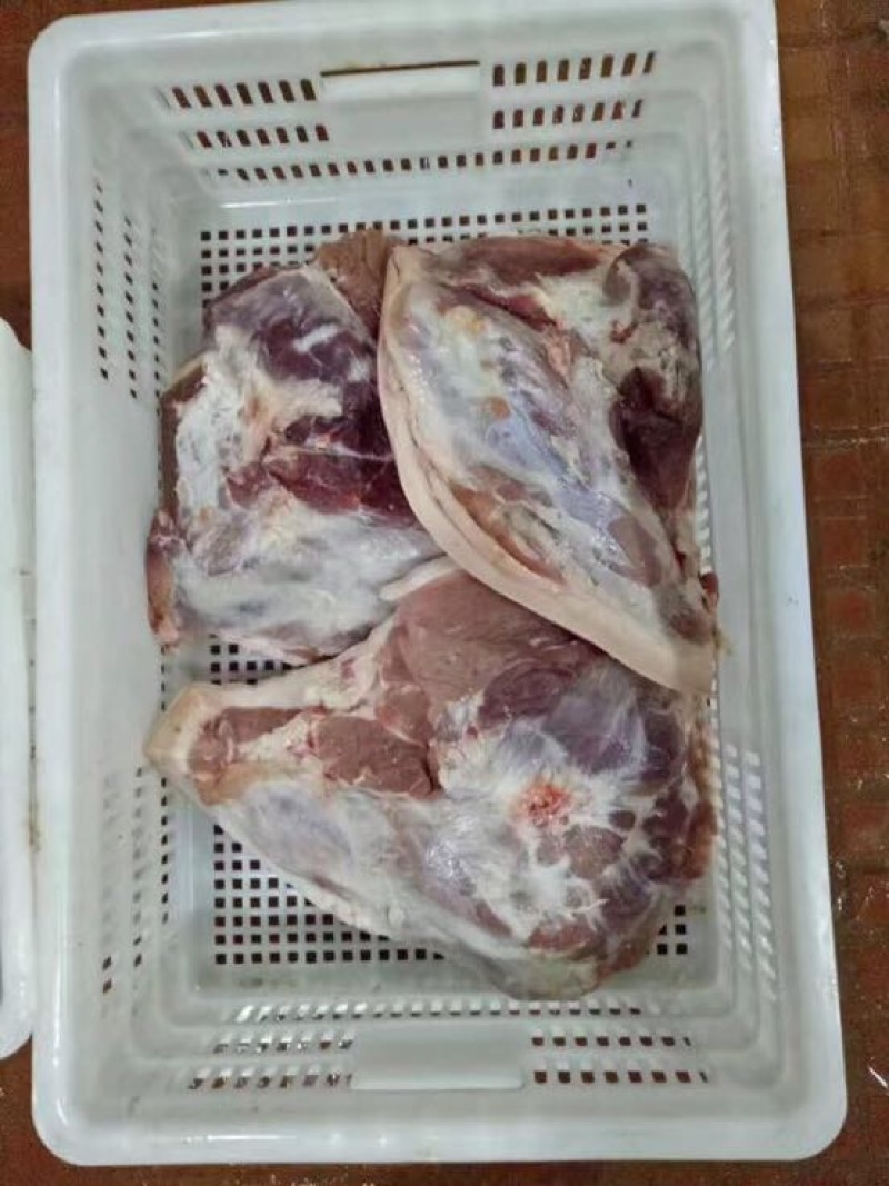 冻猪肉冷冻