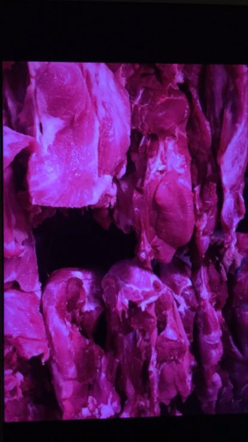冻猪肉冷冻