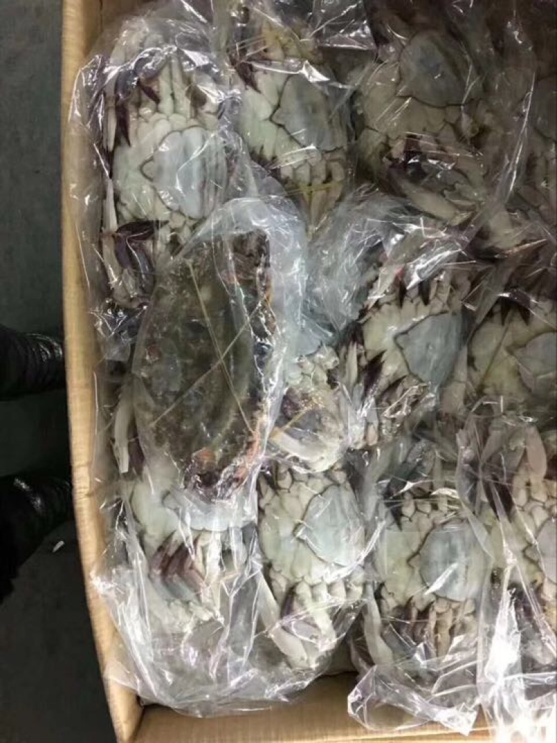 梭子蟹食用冻品