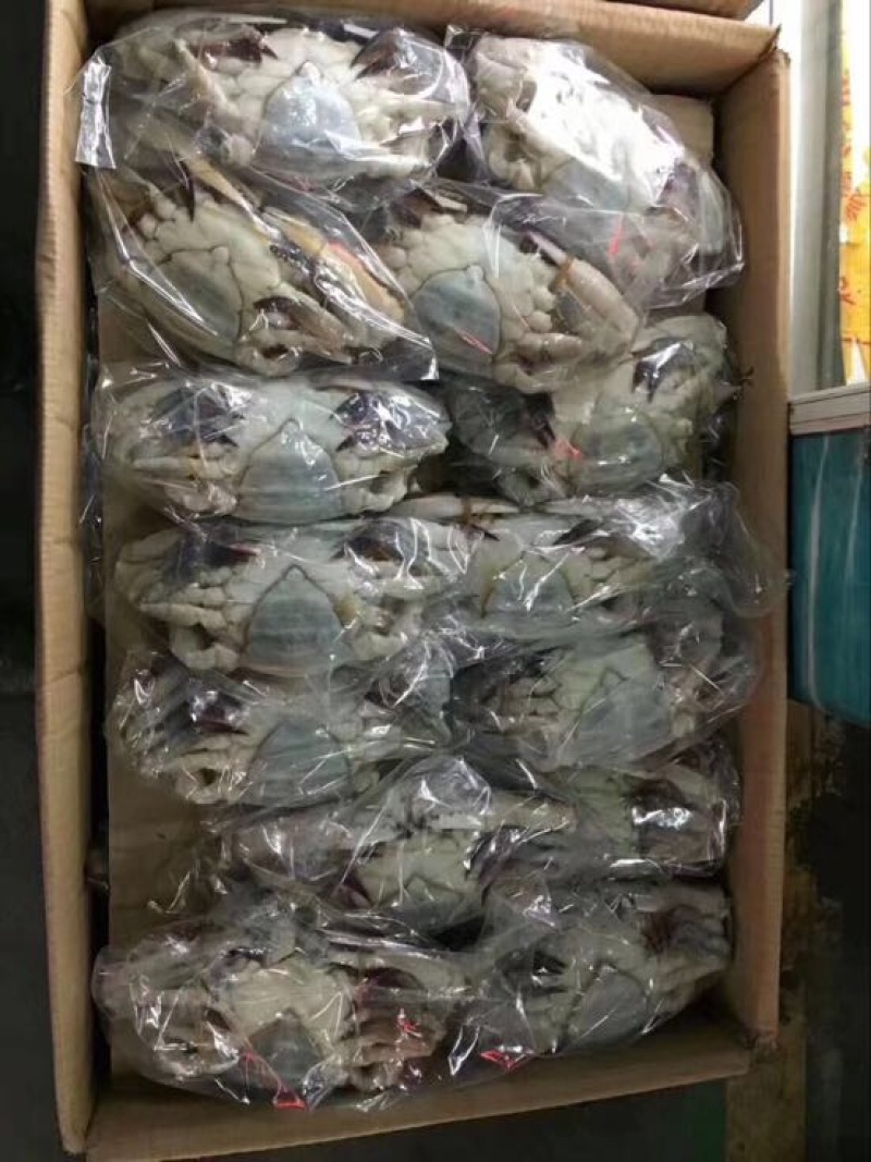 梭子蟹食用冻品