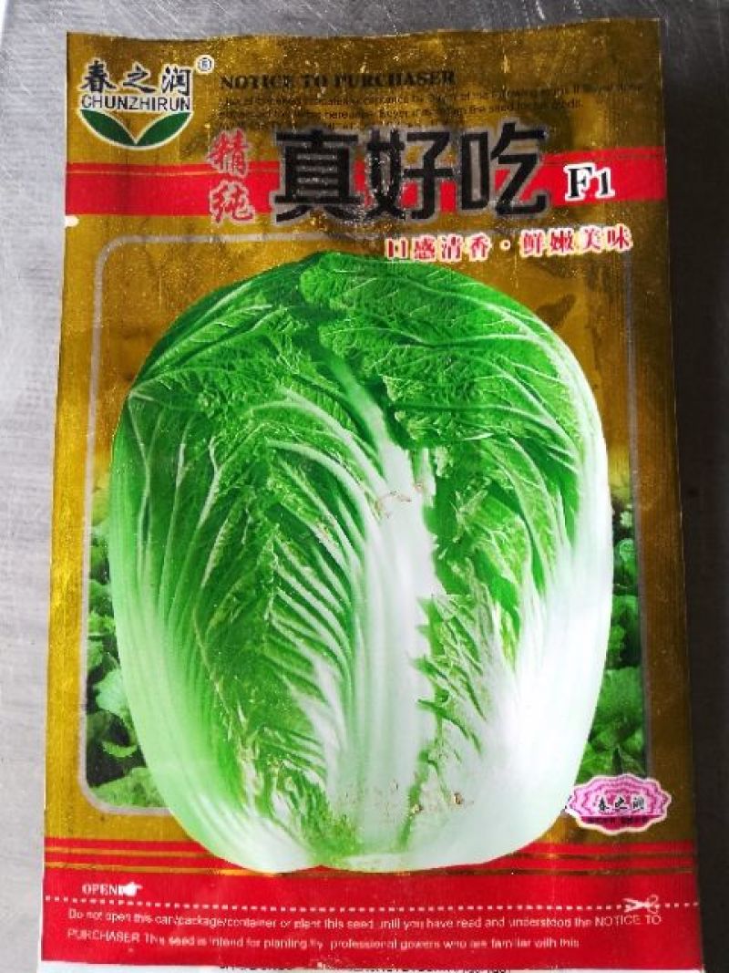 大白菜种子