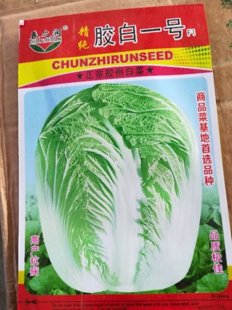 大白菜种子