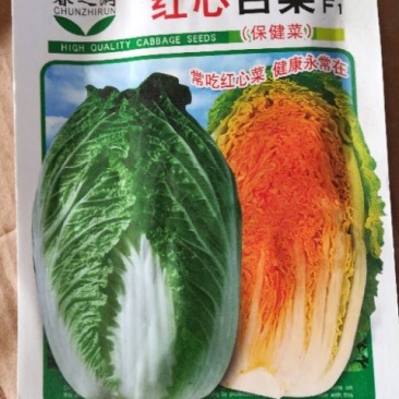大白菜种子