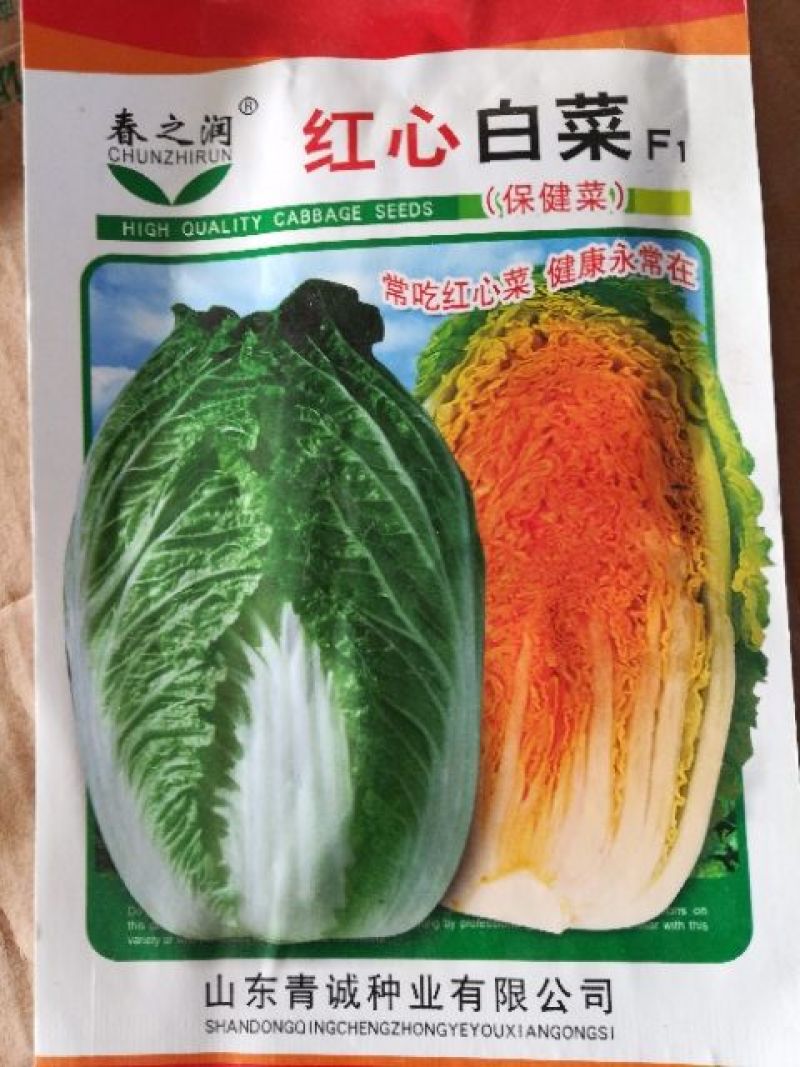 大白菜种子
