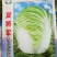 大白菜种子
