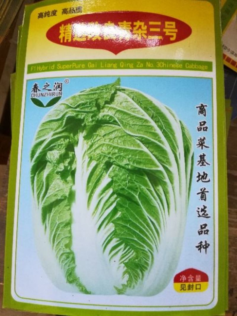 大白菜种子