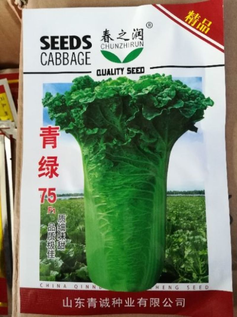 大白菜种子