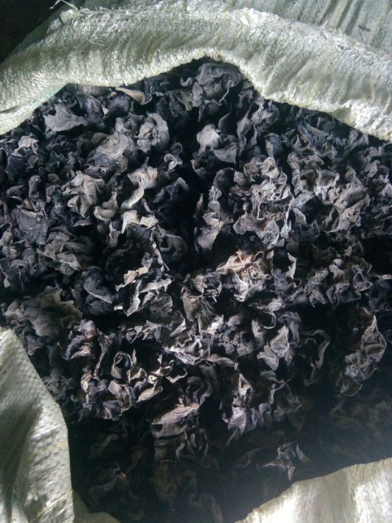 黑木耳一级
