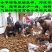 【实力推荐】野生天麻四级昭通天麻对接全国可视频看货