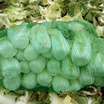 娃娃菜2~3两以上