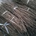 嫁接穗条80以下
