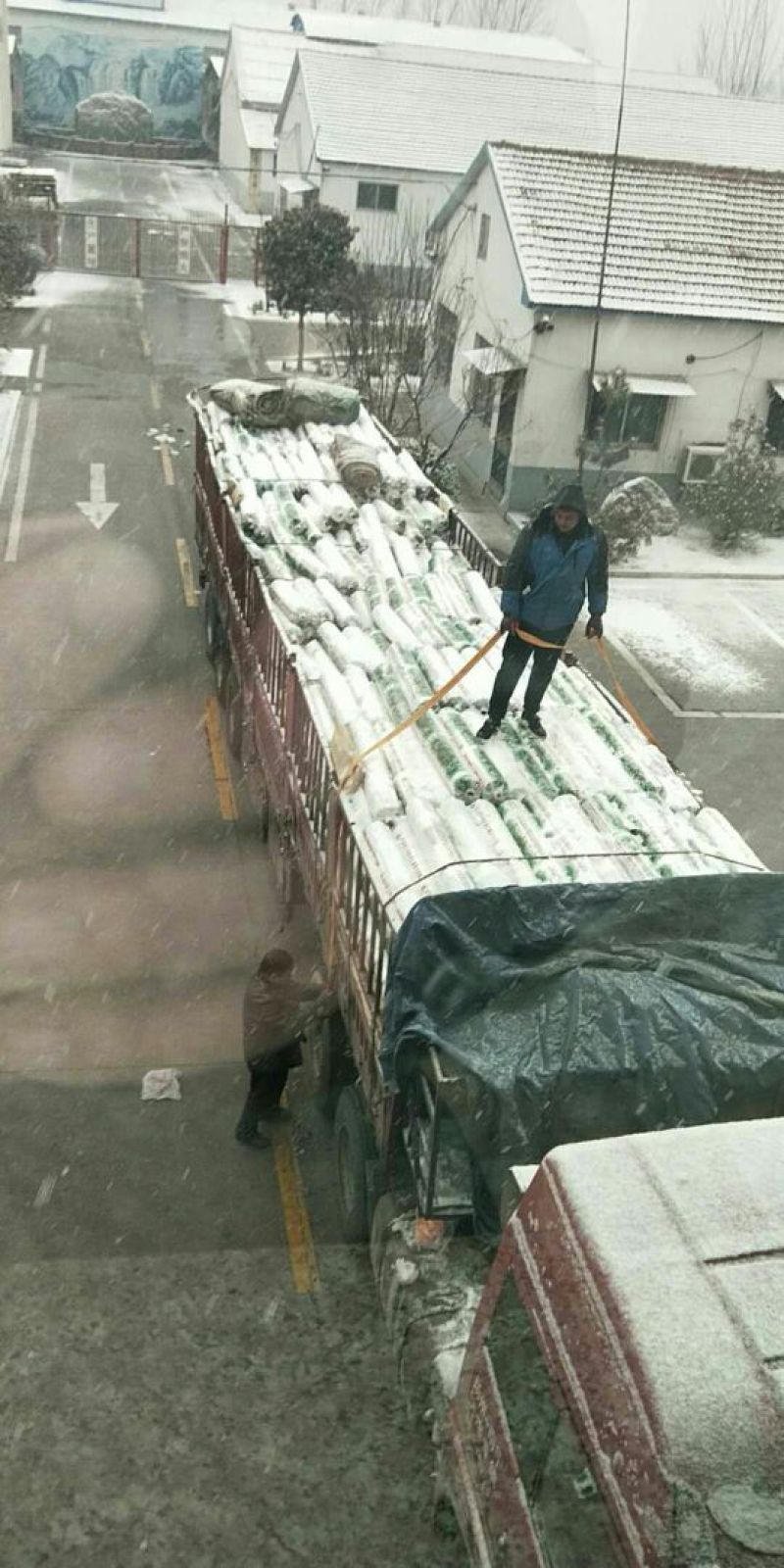 地膜