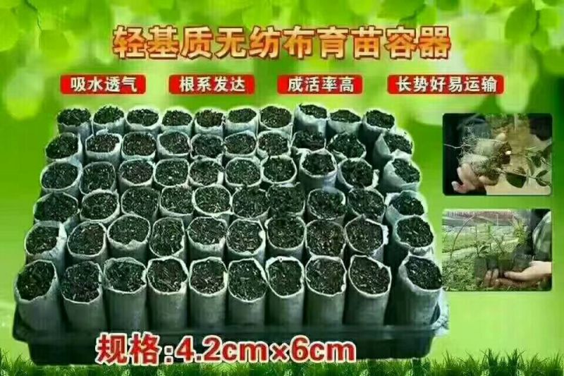 水果套袋大号37*29
