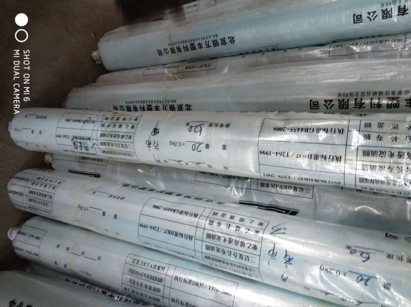 温室大棚镀锌管大棚