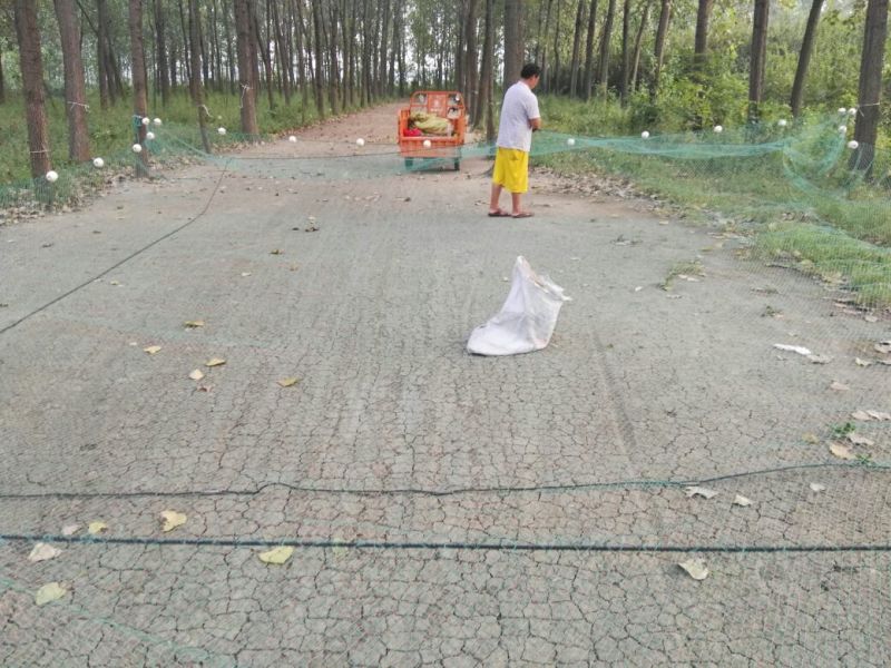 渔网拉网拦河网网箱隔断网清塘网各种规格渔网网片可以来电