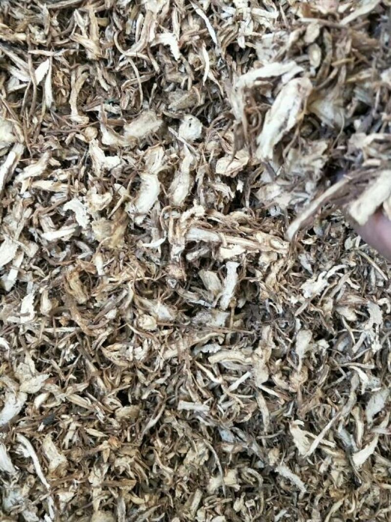 全当归切片全归片