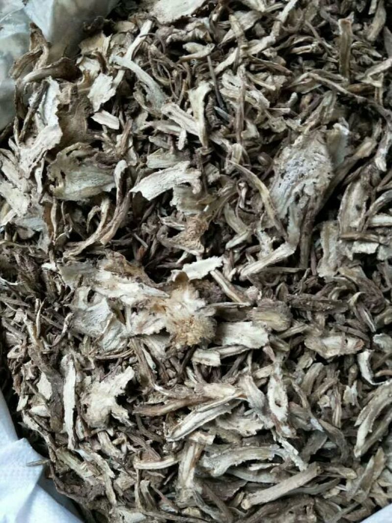 全当归切片全归片