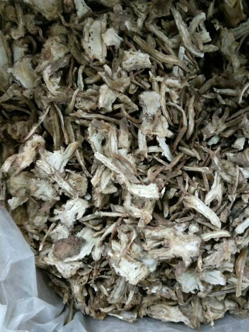 全当归切片全归片