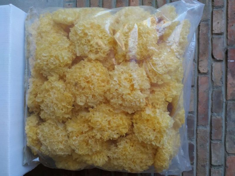 银耳福建银耳干货干菜食用菌批发产地直销