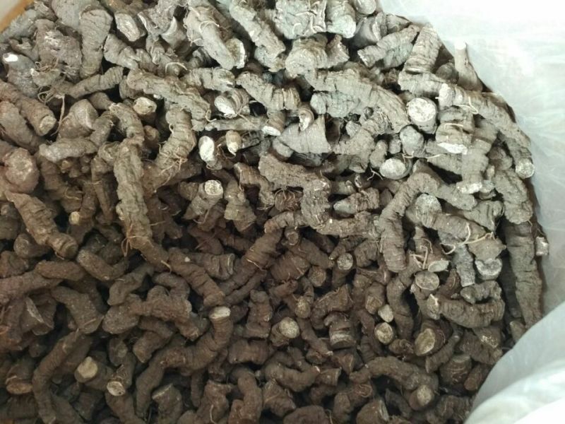 重楼，鲜货，统个！华重楼高！干货滇重楼，七叶一枝花，