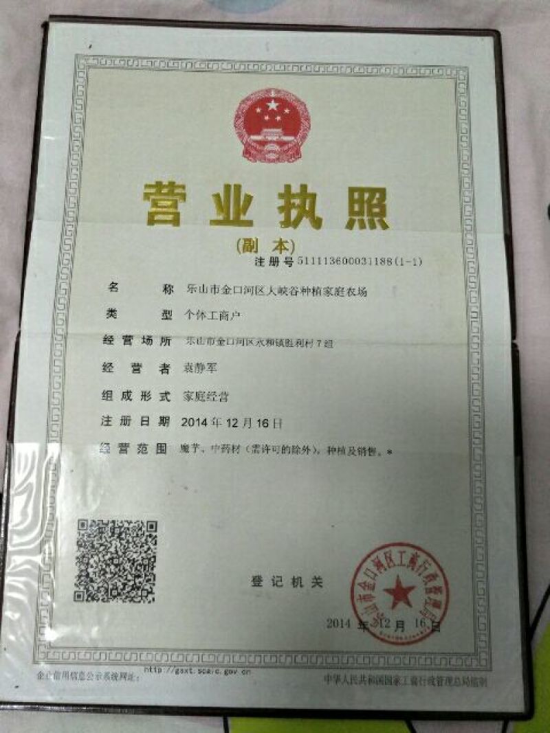 牛膝川牛膝全球甜牛膝之乡乐山