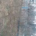 垂柳6~8cm10~12cm3.5~4米