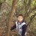小叶榆树4~6cm4~6cm3.5~4m