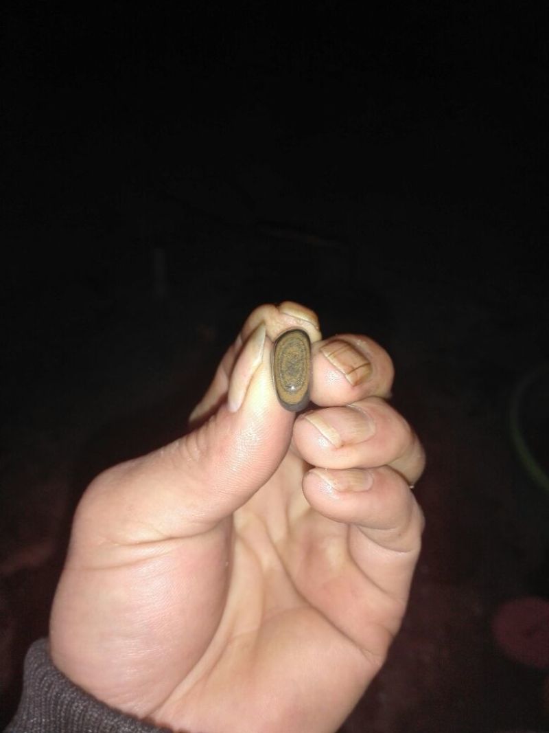 毛石