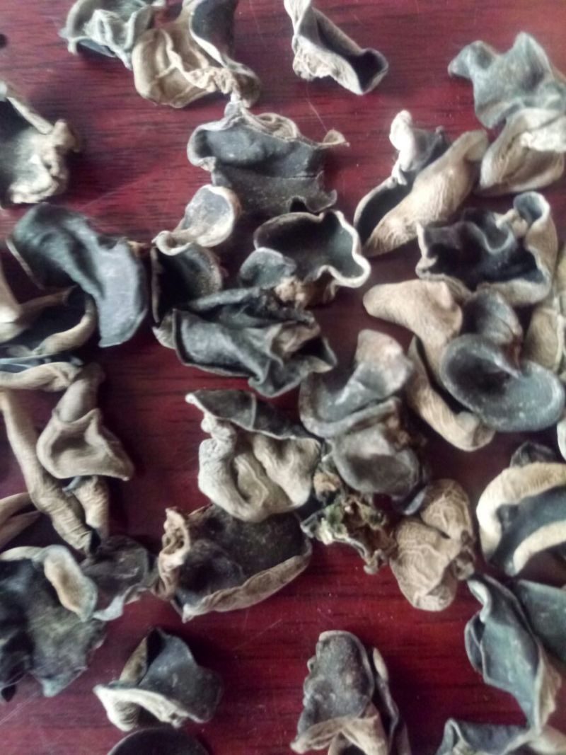 黑木耳一级