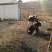 牛犊200~300kg