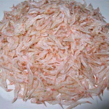 白米虾白虾皮