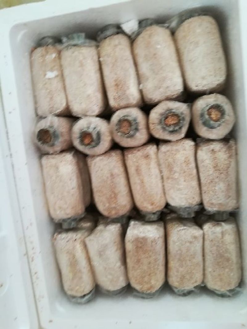 菌棒大球盖菇菌种研究所专业研发免费提供技术指导