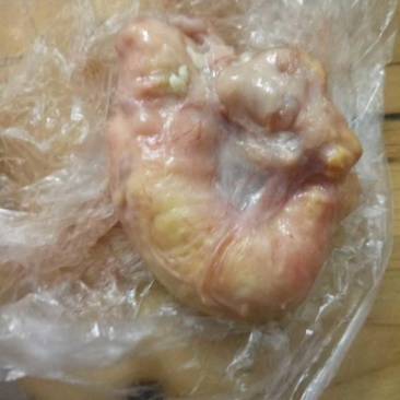 鸡宝