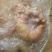 鸡宝