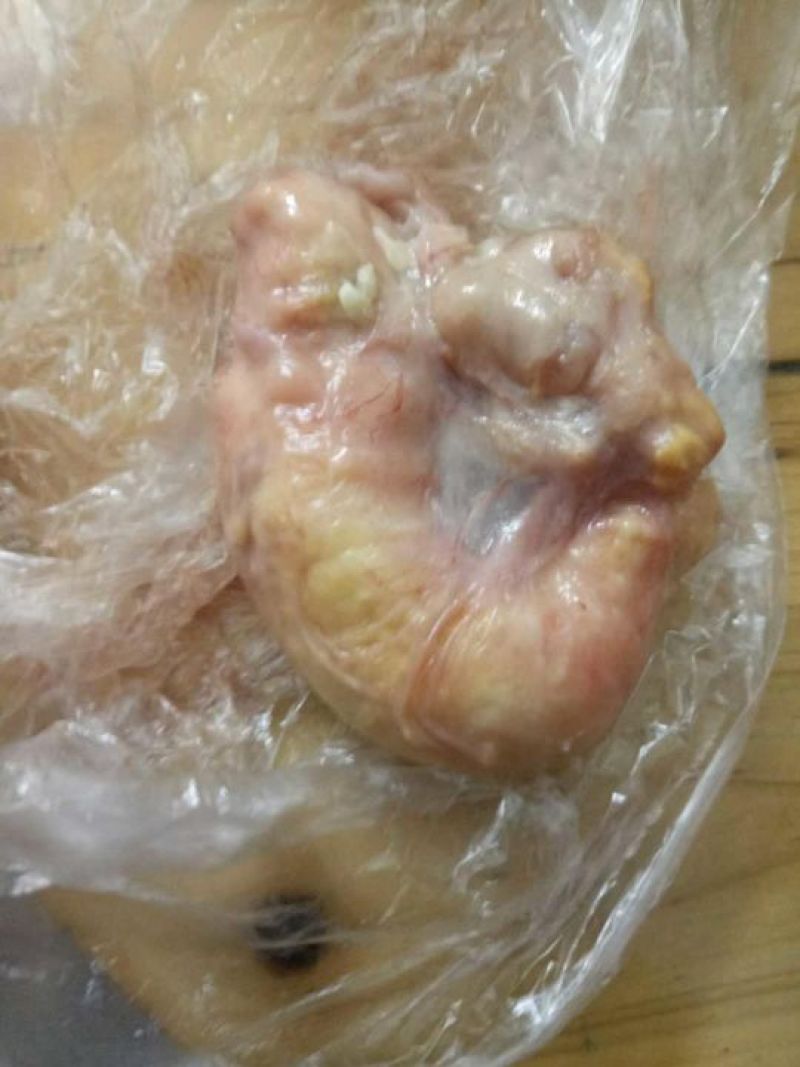 鸡宝