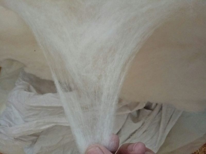 皮棉