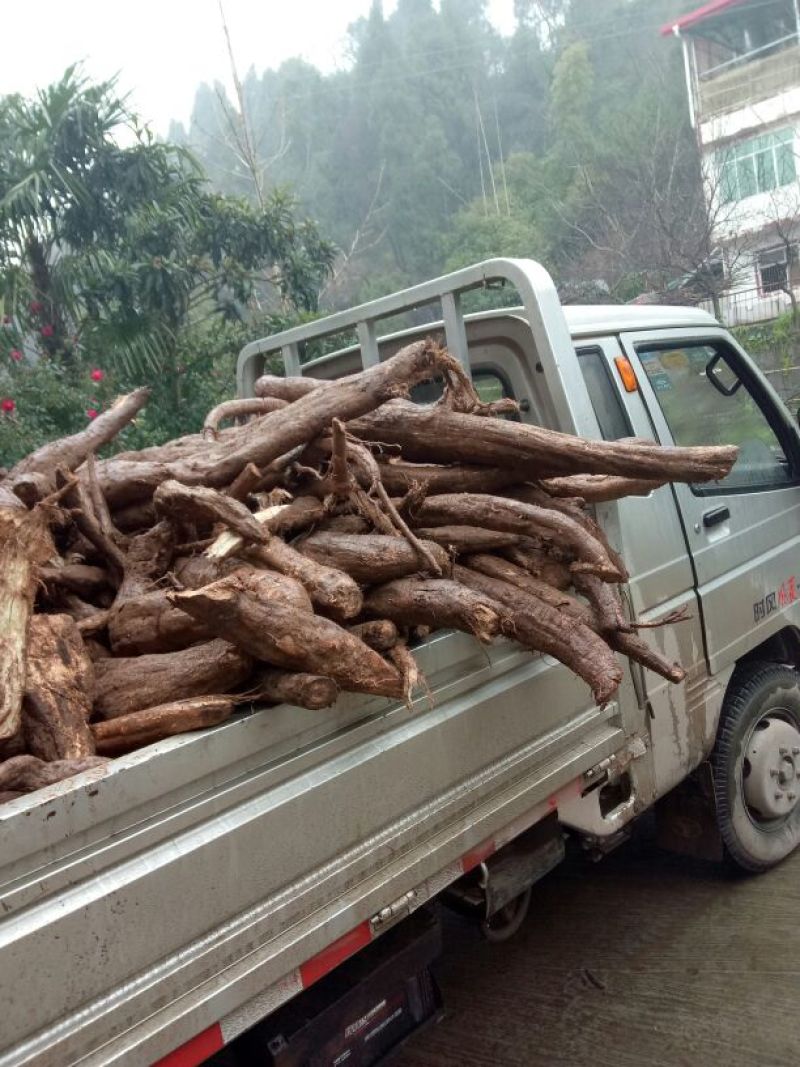 葛根粉