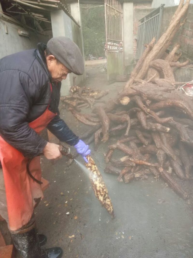 葛根粉