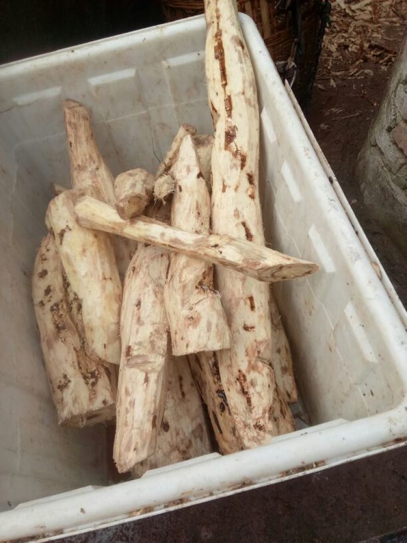 葛根粉