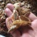 河虾干干河虾生晒河虾无盐虾干