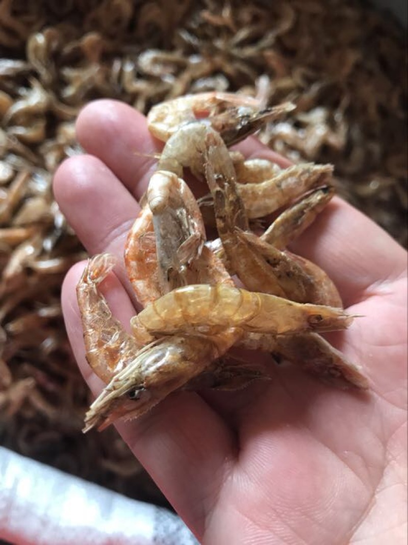 河虾干干河虾生晒河虾无盐虾干