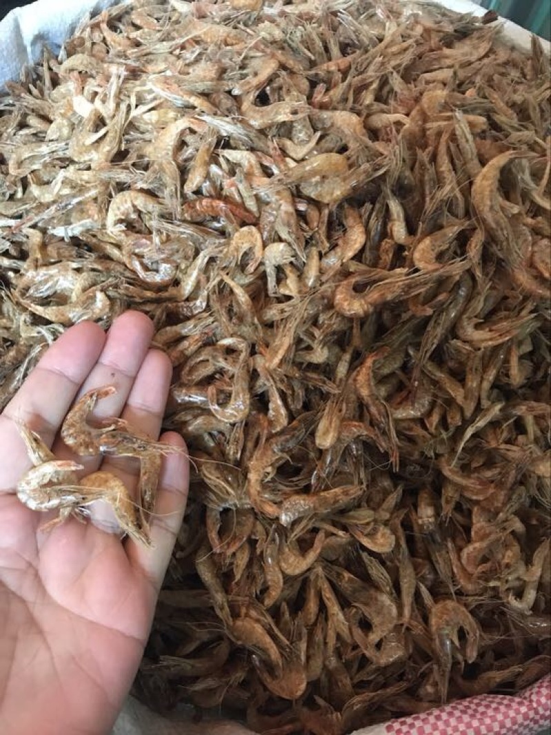 河虾干干河虾生晒河虾无盐虾干